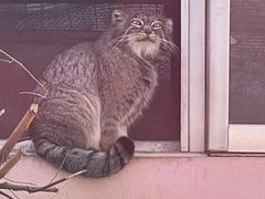 -青藏高原野生动物园