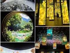 -中国湿地博物馆