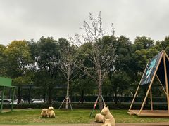-阿嬷手作(上海万象城店)