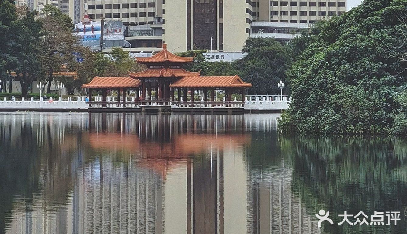 深圳游玩｜来荔枝公园打卡深圳超美水天辉映的建筑风光