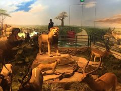 -陕西自然博物馆