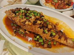-新侨小馆(东直门北小街店)
