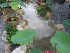 -伴山茶苑·一盏冰茶·半日山居