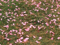 -福建鲤鱼洲酒店