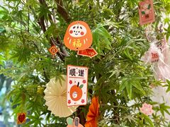 -乔曰Qiao Yue·茶咖局