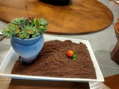 -花锦堂·隐庐