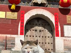 -五台山风景名胜区