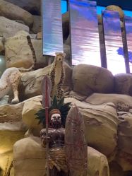 点击看大图 -卡通尼·Safari非洲探索乐园·生日会(金桥国际商业广场店)