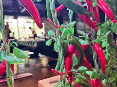-望京一号·重庆江湖菜(工体店)