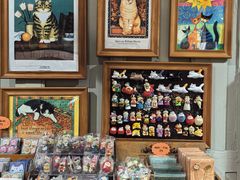 -猫咪博物馆(顶澳仔猫街店)