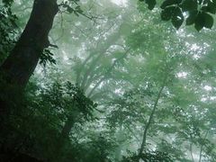 -终南山南五台景区