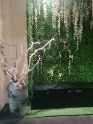 -盘子女人坊古装写真摄影(天津总店)