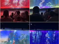 -顺德南宏海立方海洋公园