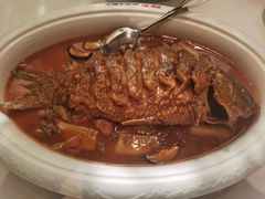 红烧黄河鲤鱼-阿五黄河大鲤鱼(英协路店)