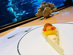 芒果芝士蛋糕-迪拜帆船酒店海底餐厅