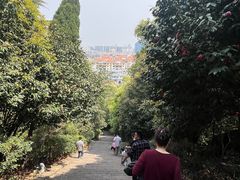 -峙山公园
