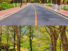 -棒棰岛宾馆景区