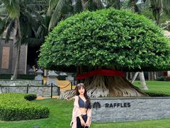 -海南清水湾莱佛士酒店