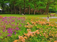 -荔香公园
