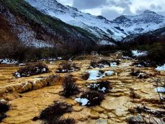 -黄龙山原始森林景区