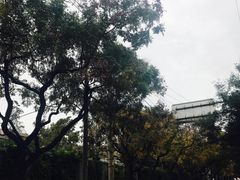 -情忆草原涮肉馆