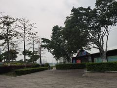 -飞来湖湿地公园