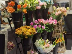 -之悦咖啡馆(新星宇·之洲店)