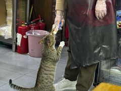 -湘赣风味小厨(娄葑老店)