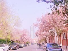 -天津五大道文化旅游区