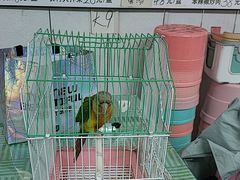 -庆岭迎宾园正宗活鱼馆