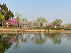 -无锡蠡湖国家湿地公园-蠡园