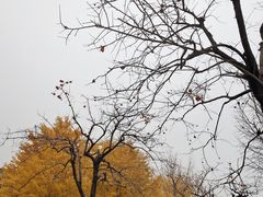 -北京石刻艺术博物馆(五塔寺)