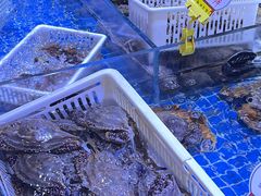 -阿杰臻选海鲜饭店(普陀山店)