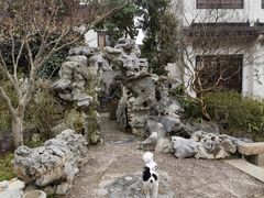 -巡塘古镇