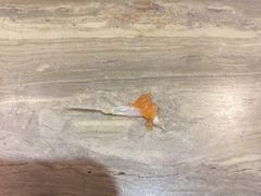 -新一番三文鱼寿司(红城湖店)