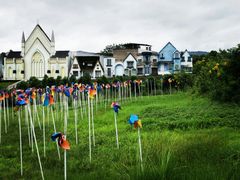 -紫颐香薰山谷景区