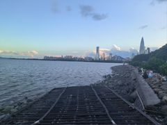 -深圳湾公园(南山区)