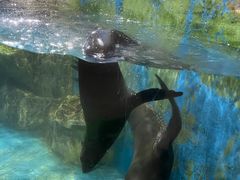-锦艺城海洋馆