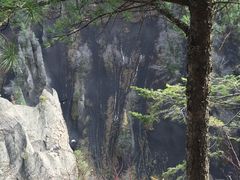 -峡谷浮石林景区