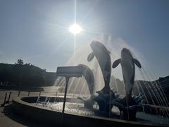 -石家庄极地海洋世界