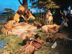 -国家自然博物馆