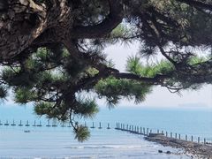 -青岛第二海水浴场