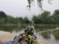 -杭州六谷生态休闲农庄有限公司