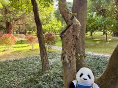 -南宁南湖公园