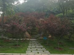 -广州市帽峰山景区