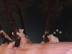 -人民防洪胜利纪念塔