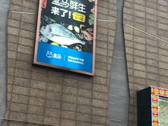 -盒马鲜生(大成店)
