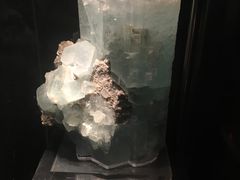 -中华赏石园