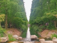 -东平国家森林公园