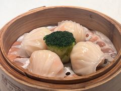-悦景酒家(罗湖店)